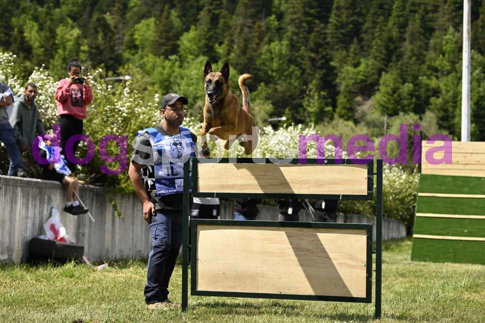 Preview _JRI_18763.jpg